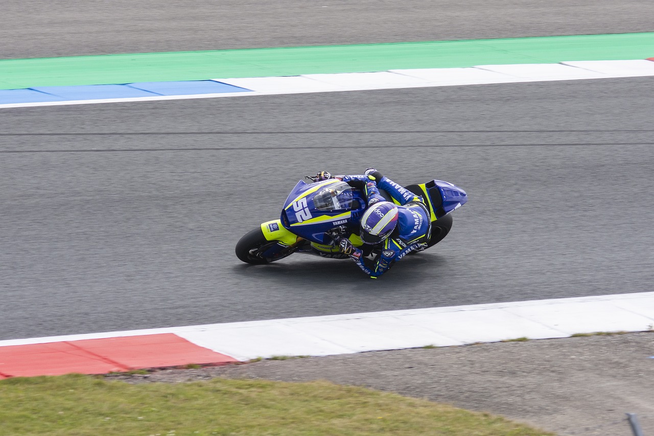 引了大量观 引了大量观