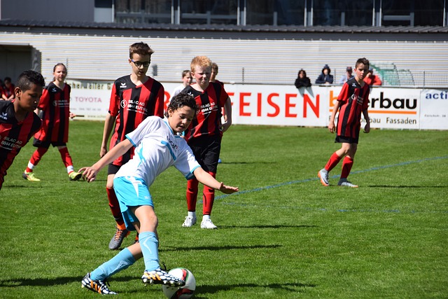 种艺术形式 种艺术形式