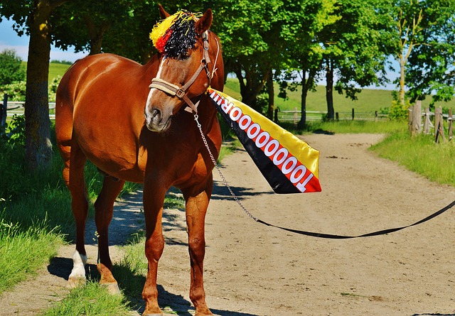 与马龙的理 与马龙的理