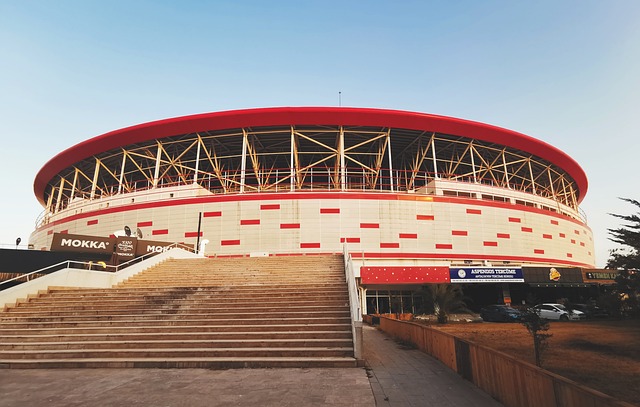 他在球场上 他在球场上