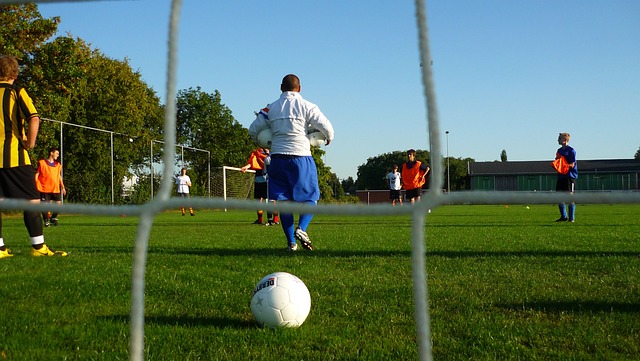 共同特征 共同特征